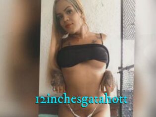 12inchesgatahott