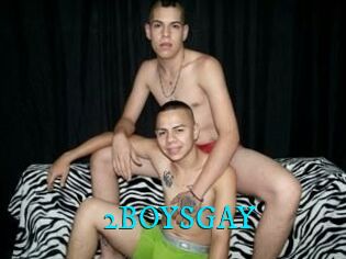 2BOYS_GAY