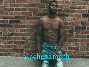 2inches_2much