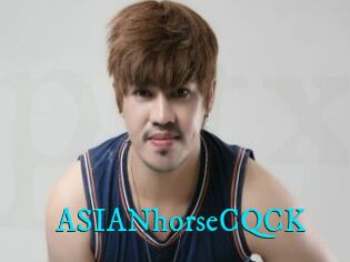 ASIANhorseCQCK