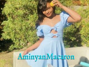 AminyanMacaron
