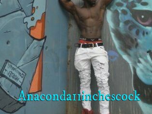 Anaconda11inchescock
