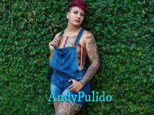 AndyPulido