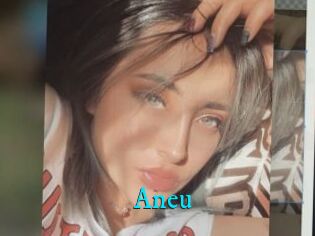 Aneu