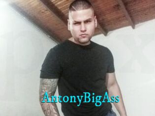 AntonyBigAss