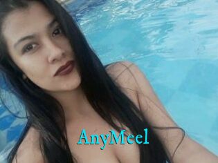 AnyMeel