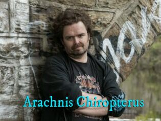 Arachnis_Chiropterus