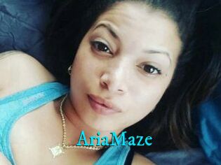Aria_Maze