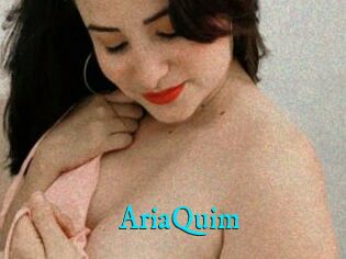 AriaQuim