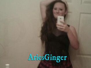 AriesGinger