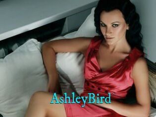 AshleyBird