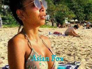 Asian_Fox