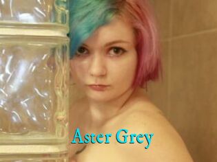 Aster_Grey
