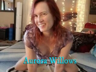 Aurora_Willows