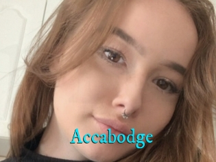 Accabodge