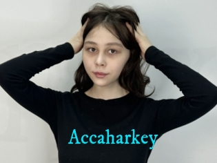 Accaharkey