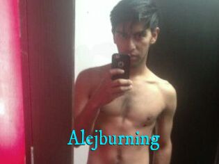 Alejburning