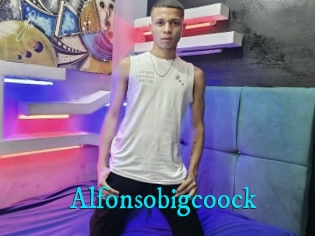 Alfonsobigcoock