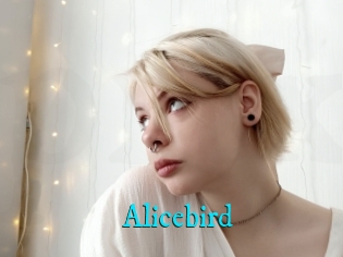 Alicebird