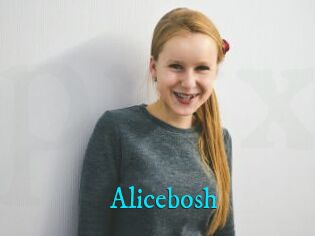 Alicebosh