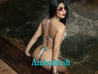 Amberbush