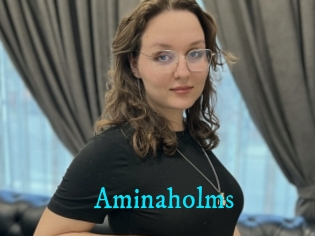 Aminaholms