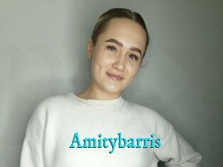 Amitybarris