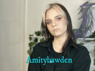 Amitybawden