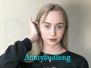 Amitybudlong