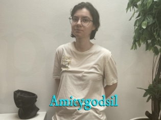 Amitygodsil