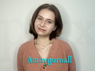 Amitygornall