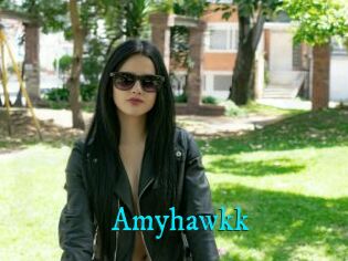 Amyhawkk