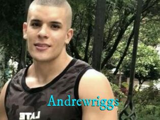 Andrewriggs