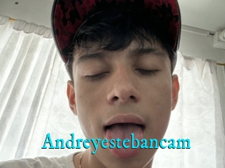Andreyestebancam