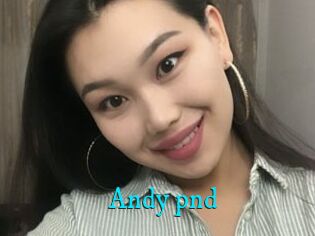 Andy_pnd