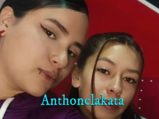 Anthonelakata