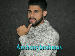Anthonybrahmas