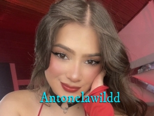 Antonelawildd
