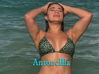 Antonellla