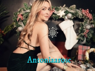 Antoniaarose