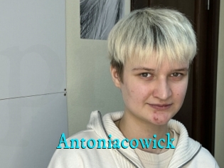 Antoniacowick
