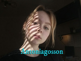 Antoniagosson