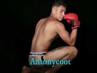 Antonycoot