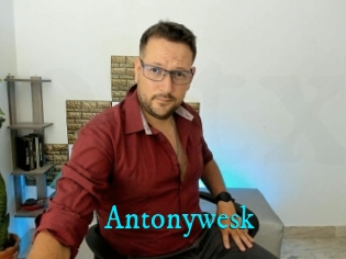 Antonywesk