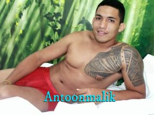 Antoonmalik
