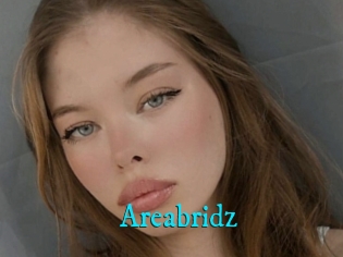 Areabridz