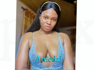 Attiedal