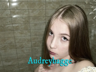 Audreybagge