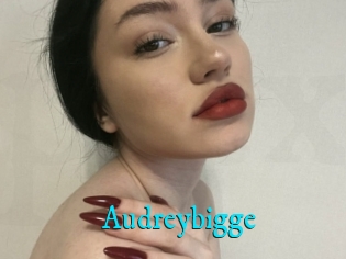Audreybigge