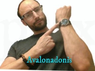 Avalonadonis